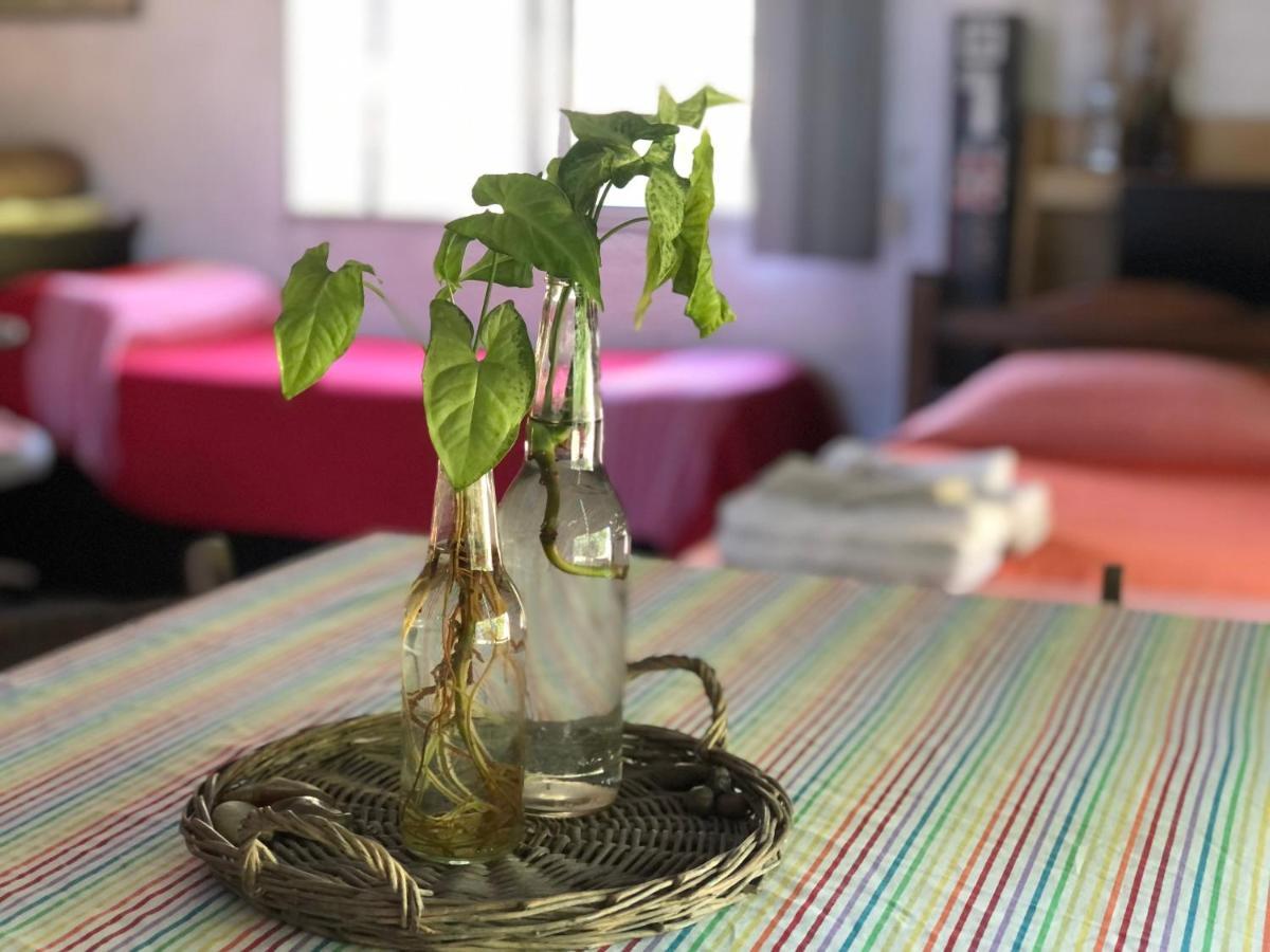 Hotel Casita Del Parque Salto Zewnętrze zdjęcie